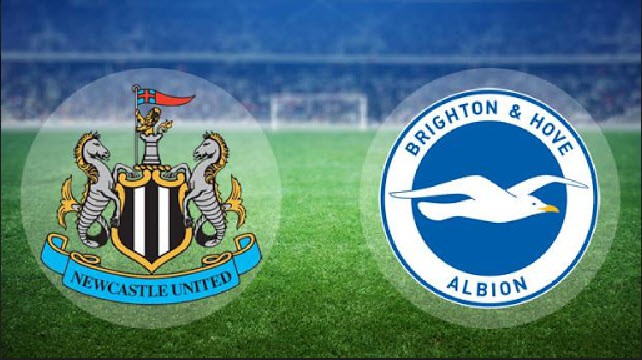 Soi keo bong da W88 – Newcastle vs Brighton, 05/03/2022