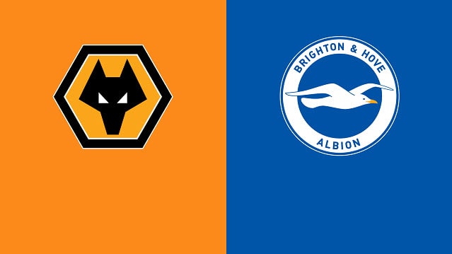 Soi keo bong da W88 – Wolves vs Brighton, 30/04/2022